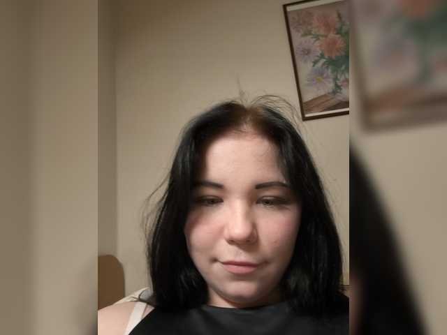 Kittydream-x