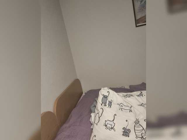 Kittydream-x live cam on BongaCams