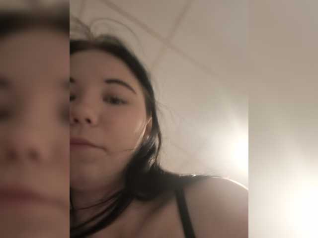 Kittydream-x