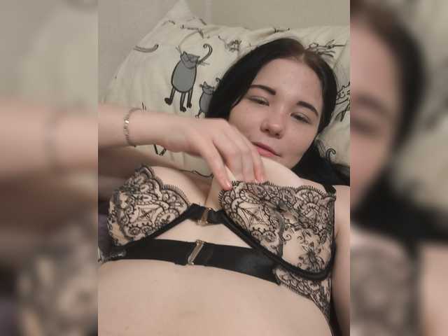 Kittydream-x