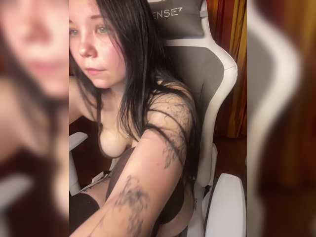 Kittydream-x