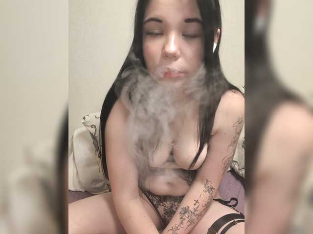 Kittydream-x