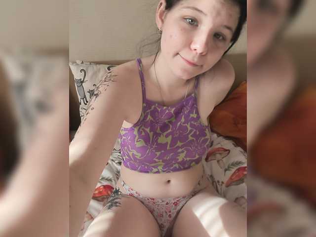 Kittydream-x