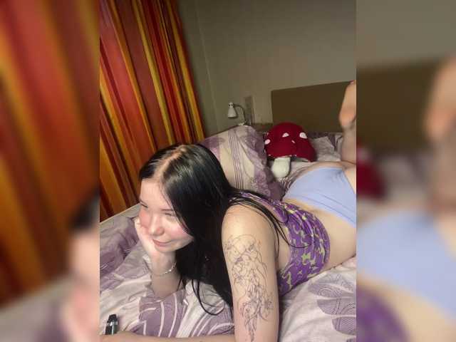 Kittydream-x