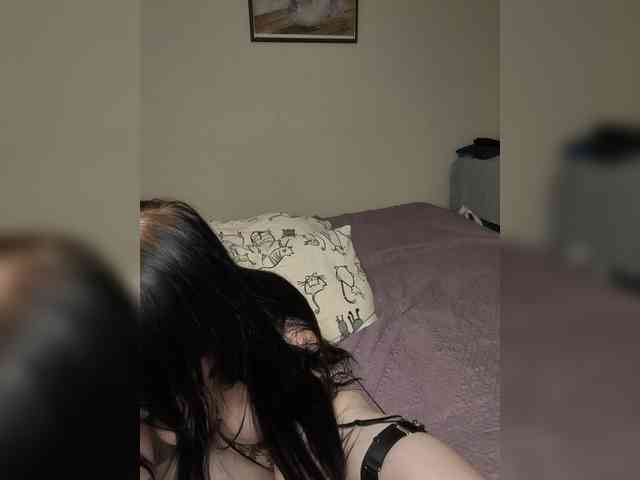 Kittydream-x