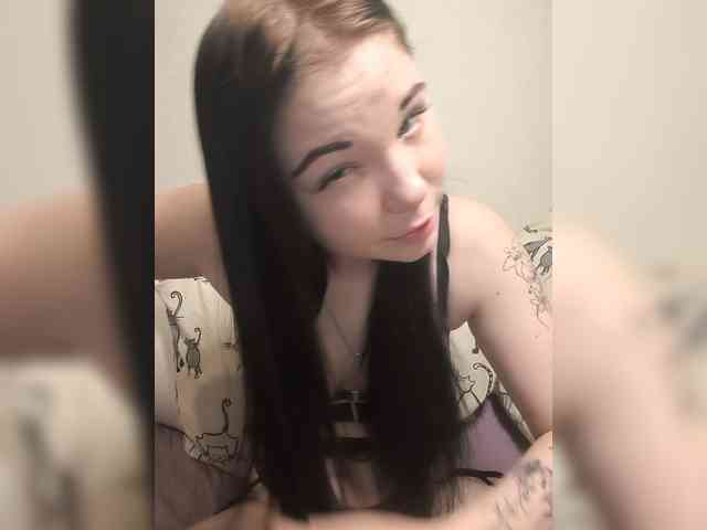 Kittydream-x webcam