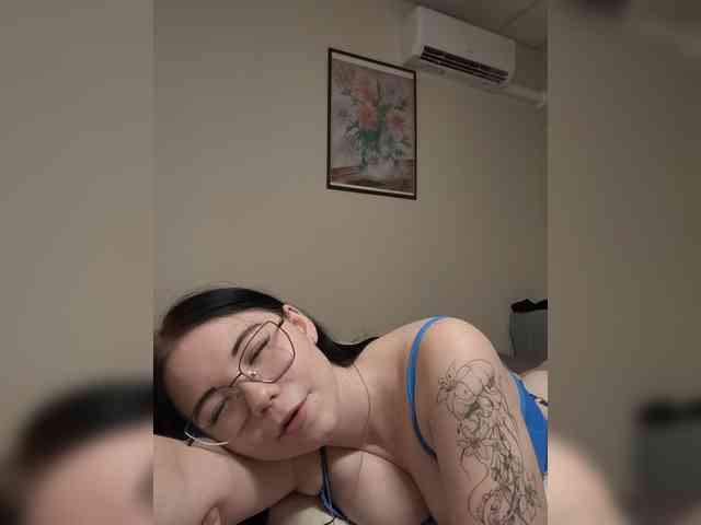 Kittydream-x webcam