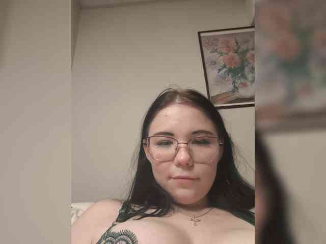 Kittydream-x webcam