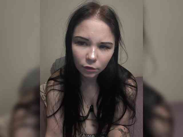 Kittydream-x