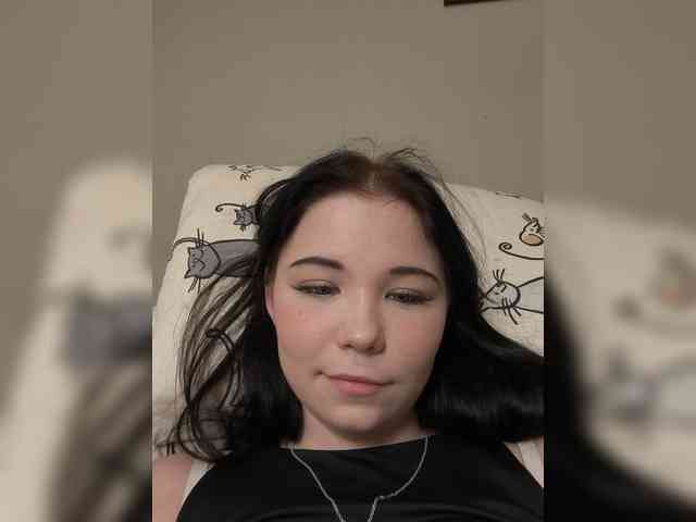 Kittydream-x webcam