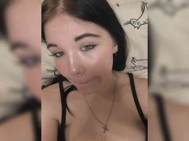 Kittydream-x webcam
