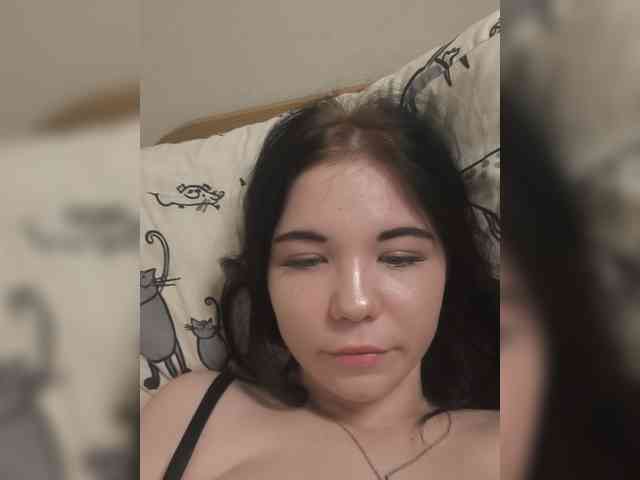 Kittydream-x webcam