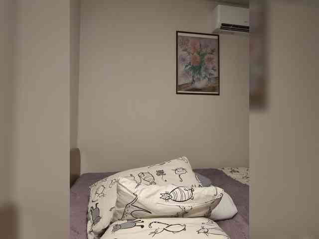 Kittydream-x webcam