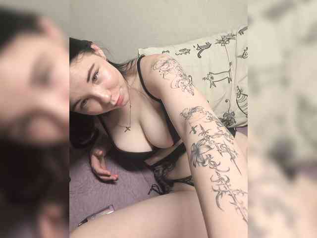 Kittydream-x Kittydream-x