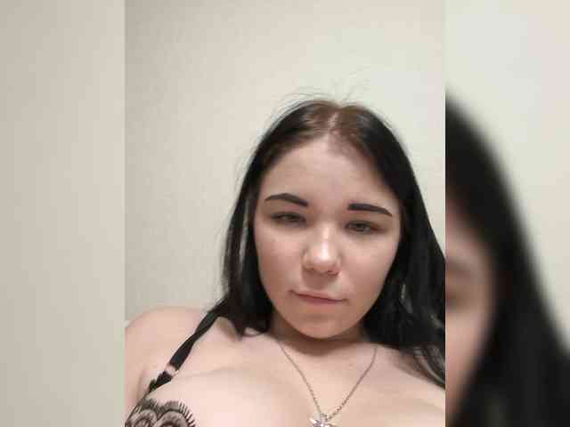 Kittydream-x