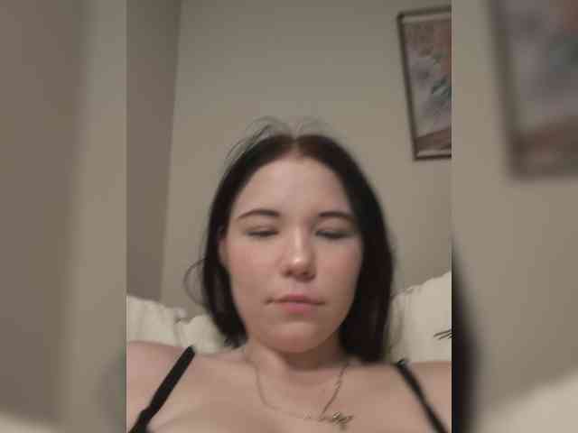 Kittydream-x webcam