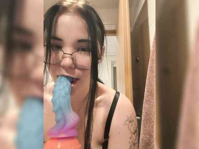 Kittydream-x webcam