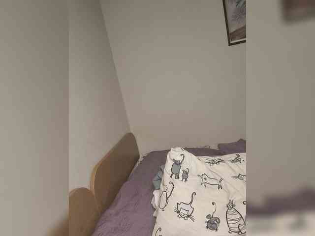 Kittydream-x webcam