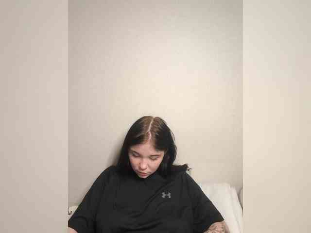 Kittydream-x webcam
