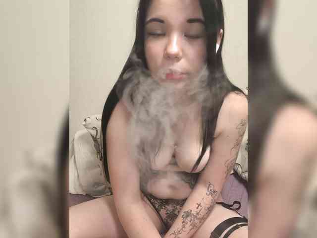 Kittydream-x
