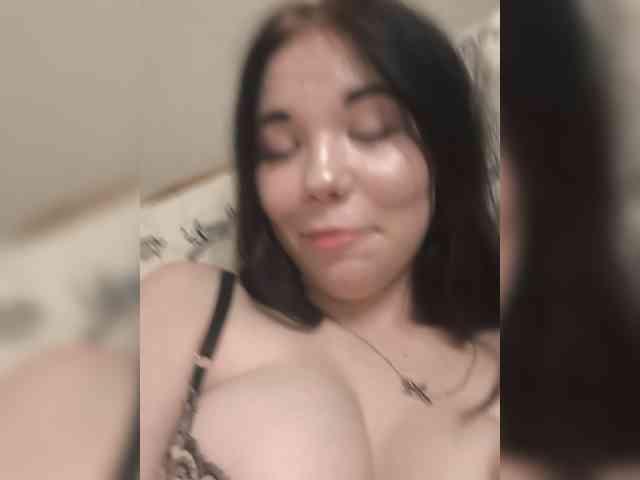 Kittydream-x webcam
