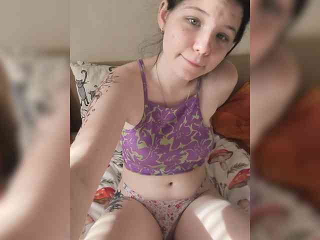 Kittydream-x