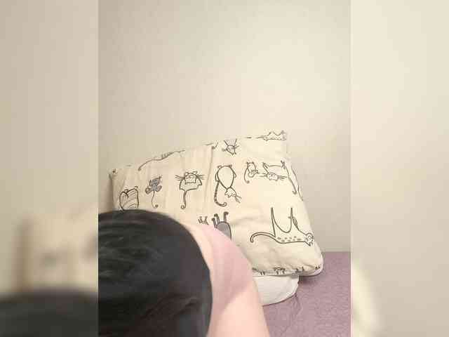 Kittydream-x webcam