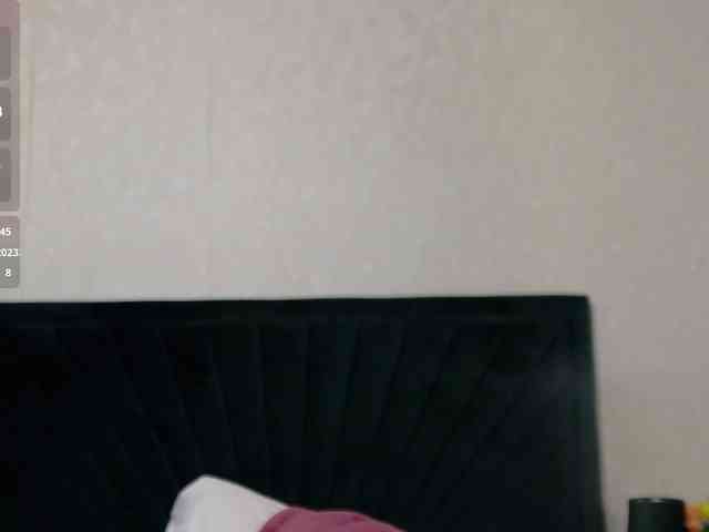 BrigitteRiss webcam