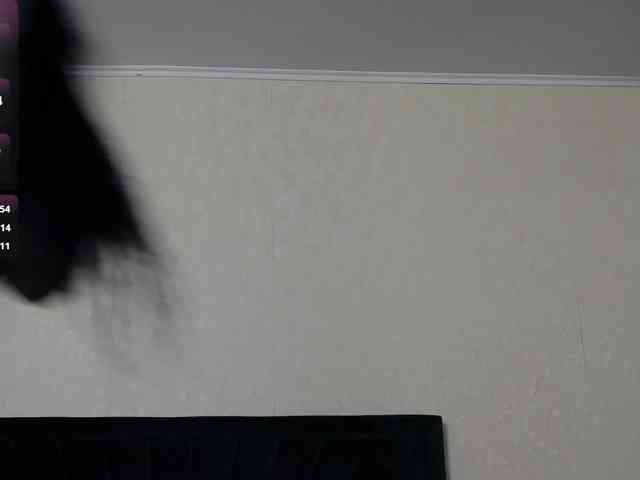 BrigitteRiss webcam