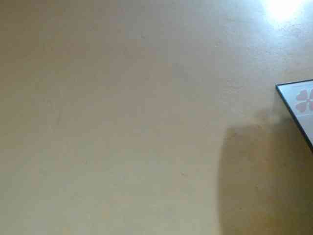 Zepily webcam
