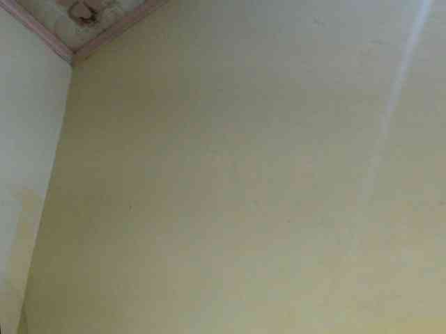 Zepily webcam