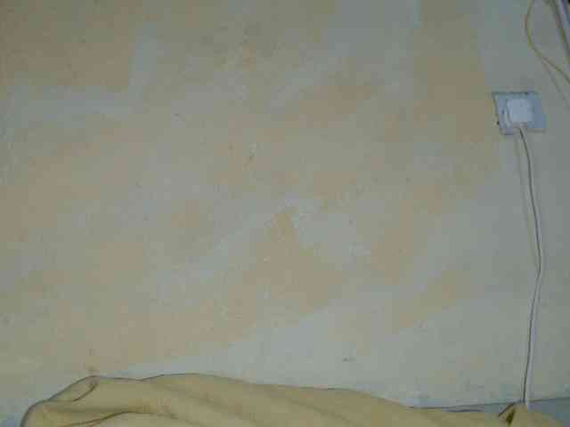 Zepily webcam