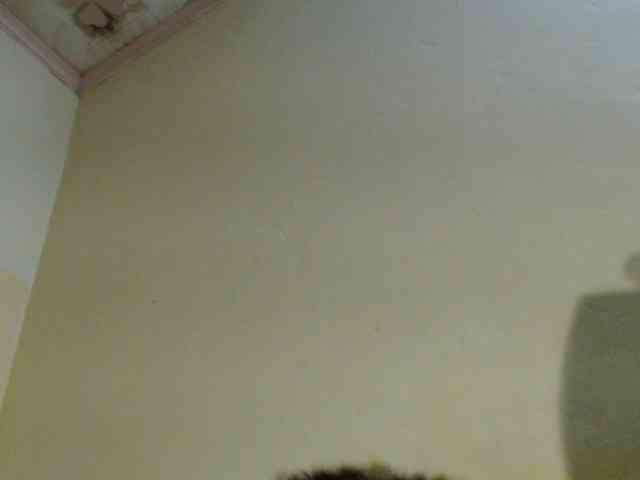 Zepily webcam