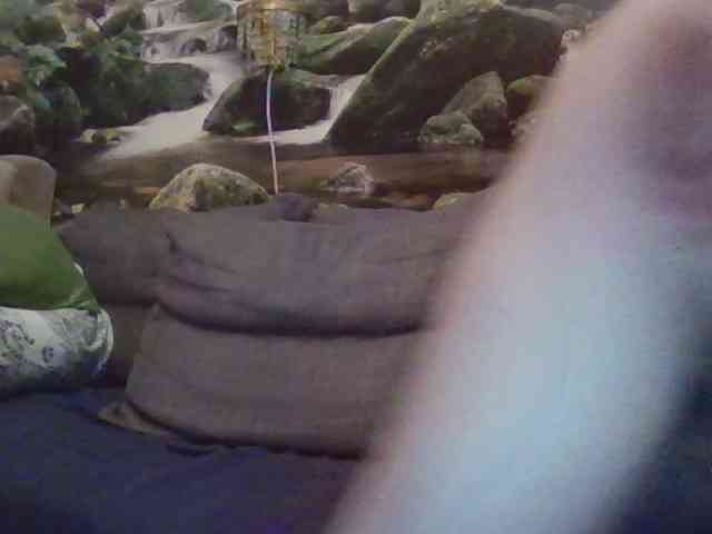 VelvetMonaX webcam