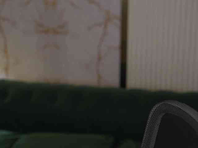 NikolDiamond webcam