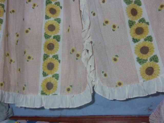 Majolie1