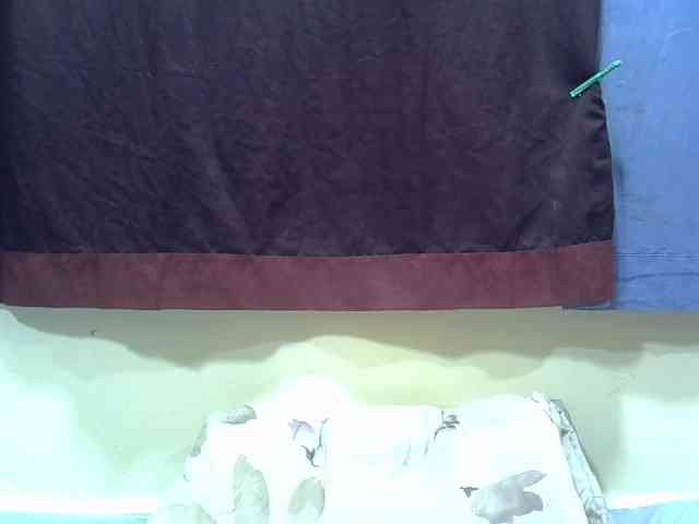 Prettyslender webcam