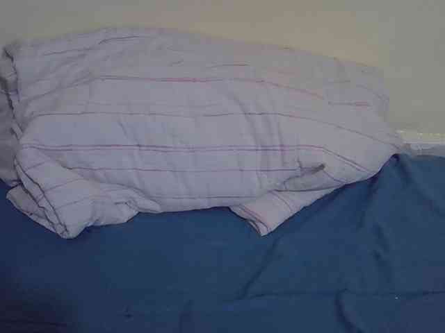 Prettyslender webcam