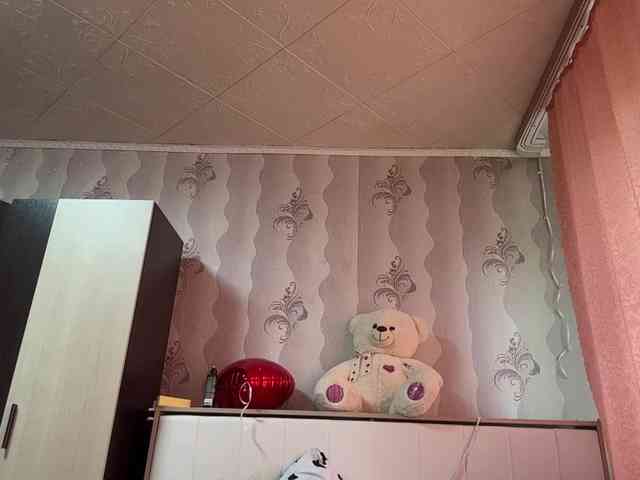 MarinMuckey webcam