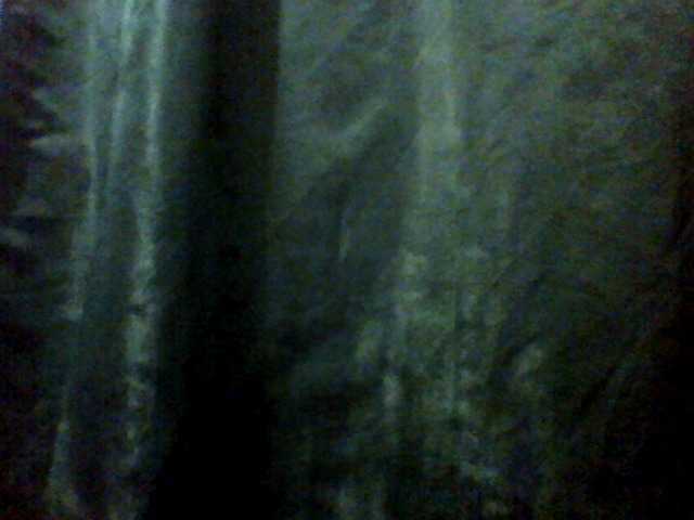 Anna332245 webcam