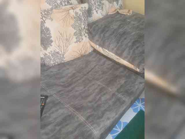 Gina8 webcam