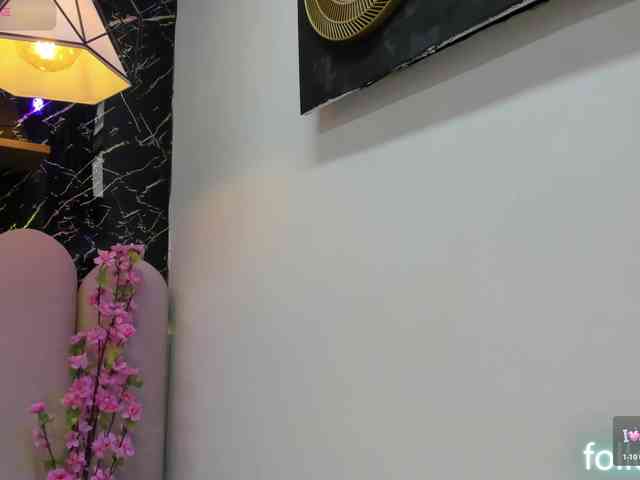 Karys-1 webcam