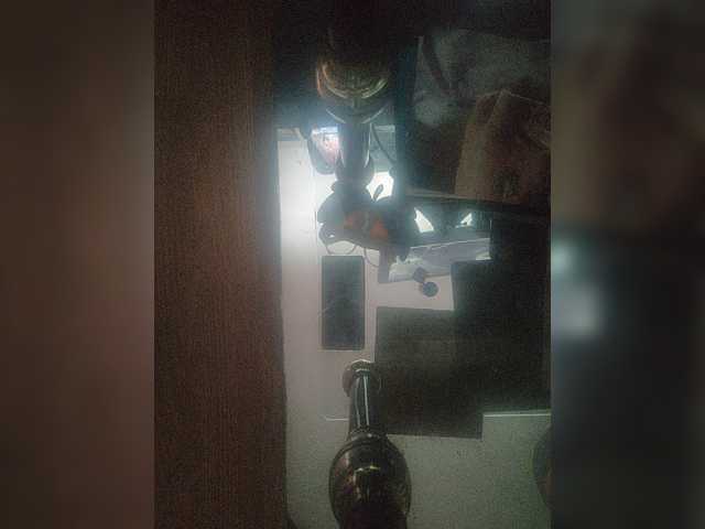 HerculoySenos