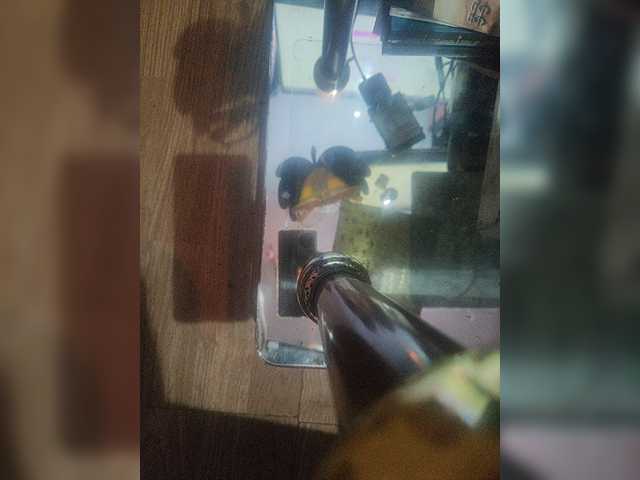 HerculoySenos