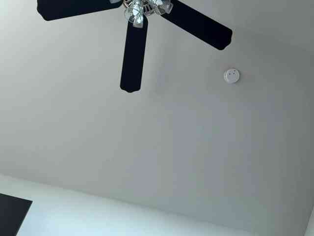 Energylovee webcam