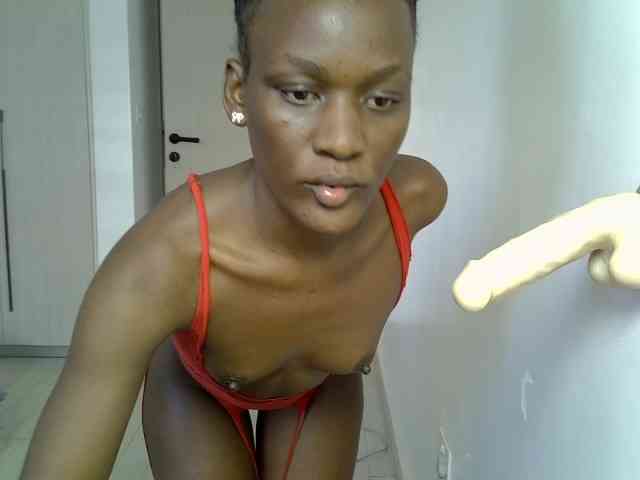 Model: Dinah-6