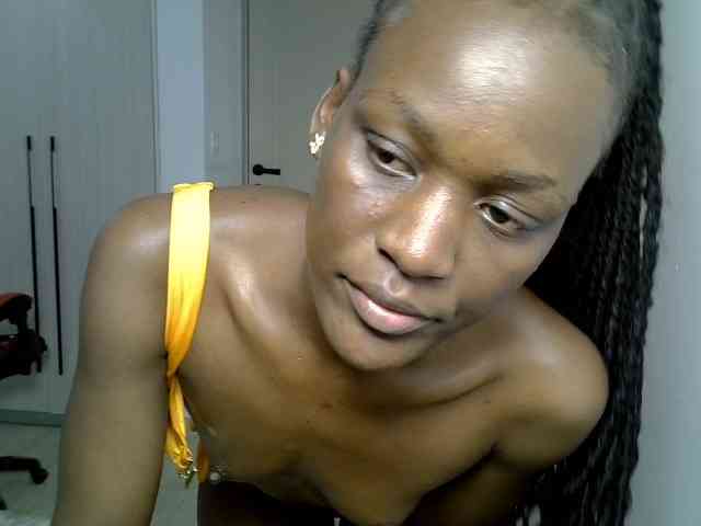 Dinah-6 webcam