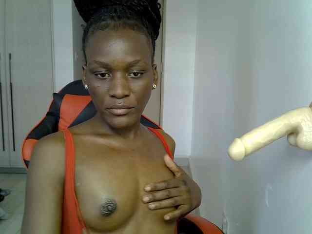 Dinah-6 webcam