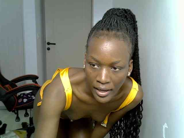 Dinah-6 webcam