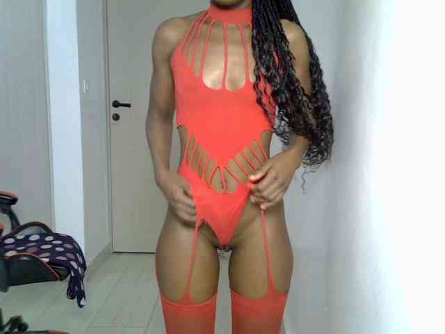 Dinah-6 webcam
